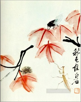 Qi Baishi likvidambra Taiwán y la vieja tinta china de la cigarra Pinturas al óleo